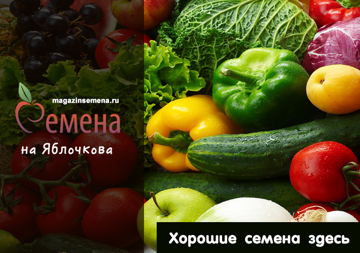 Баннер
